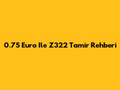 0.75 Euro Ile Z322 Tamir Rehberi