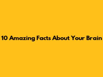 10 Amazing Facts About Your Brain