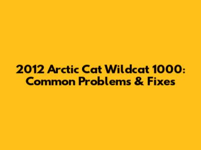 2012 Arctic Cat Wildcat 1000: Common Problems & Fixes
