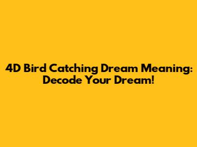 4D Bird Catching Dream Meaning: Decode Your Dream!