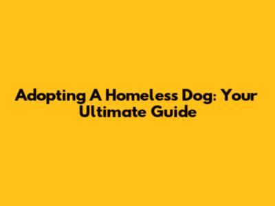 Adopting A Homeless Dog: Your Ultimate Guide
