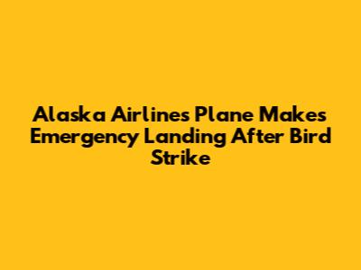 Alaska Airlines Plane Makes Emergency Landing After Bird Strike