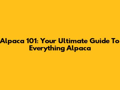 Alpaca 101: Your Ultimate Guide To Everything Alpaca