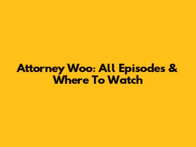 Attorney Woo: All Episodes & Where To Watch