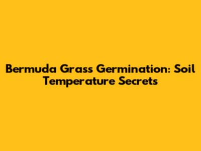 Bermuda Grass Germination: Soil Temperature Secrets