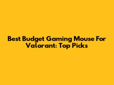 Best Budget Gaming Mouse For Valorant: Top Picks