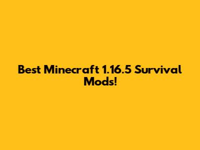 Best Minecraft 1.16.5 Survival Mods!