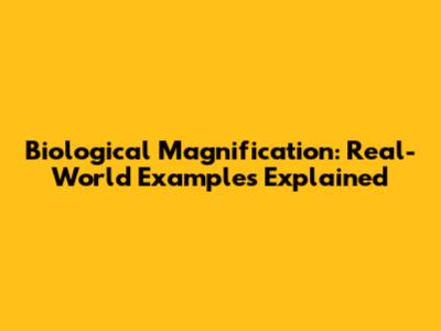 Biological Magnification: Real-World Examples Explained