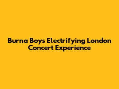Burna Boy's Electrifying London Concert Experience