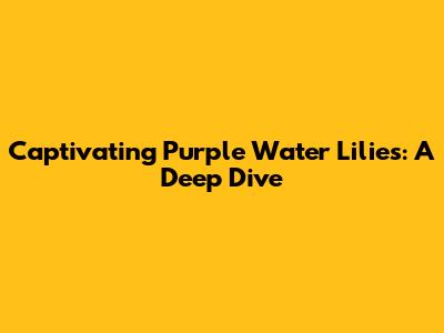 Captivating Purple Water Lilies: A Deep Dive
