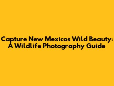 Capture New Mexico's Wild Beauty: A Wildlife Photography Guide