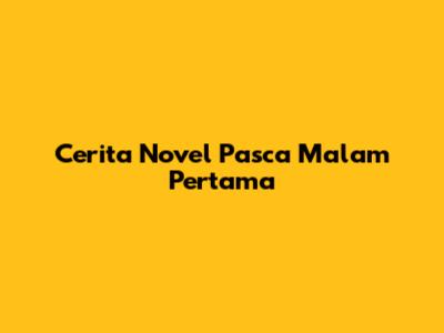 Cerita Novel Pasca Malam Pertama