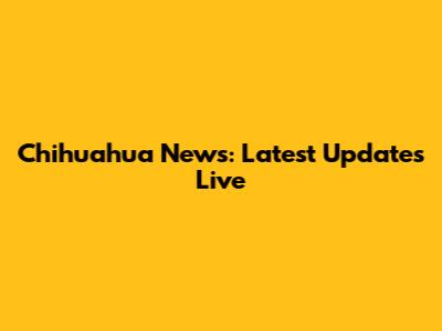 Chihuahua News: Latest Updates Live