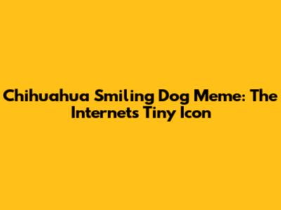 Chihuahua Smiling Dog Meme: The Internet's Tiny Icon