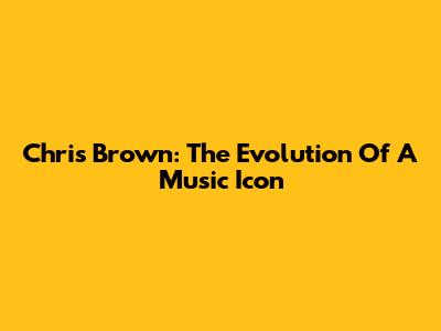 Chris Brown: The Evolution Of A Music Icon