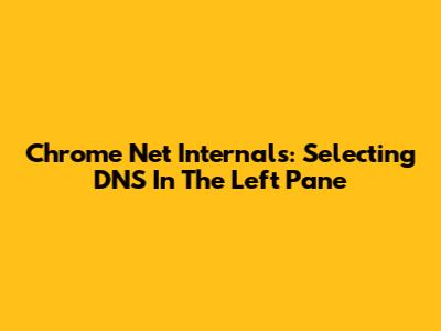 Chrome Net Internals: Selecting DNS In The Left Pane