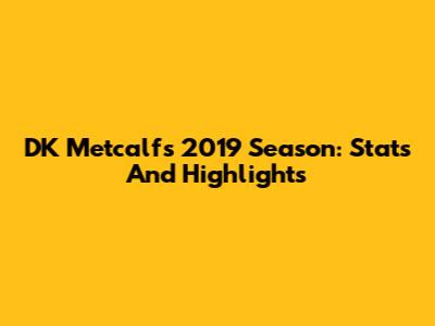 DK Metcalf's 2019 Season: Stats And Highlights