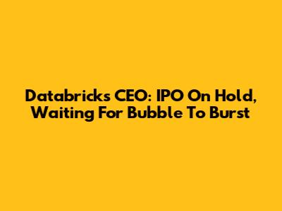 Databricks CEO: IPO On Hold, Waiting For Bubble To Burst