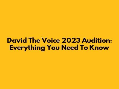 David The Voice 2023 Audition: Everything You Need To Know