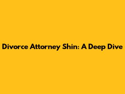 Divorce Attorney Shin: A Deep Dive