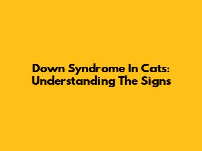 Down Syndrome In Cats: Understanding The Signs