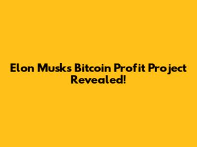 Elon Musk's Bitcoin Profit Project Revealed!