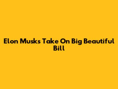 Elon Musk's Take On Big Beautiful Bill