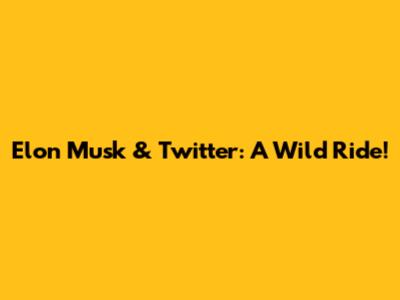Elon Musk & Twitter: A Wild Ride!