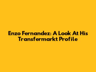 Enzo Fernandez: A Look At His Transfermarkt Profile