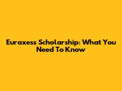 Euraxess Scholarship: What You Need To Know