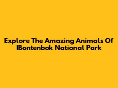 Explore The Amazing Animals Of IBontenbok National Park