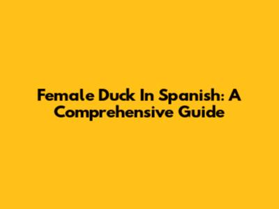 Female Duck In Spanish: A Comprehensive Guide