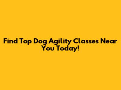 Find Top Dog Agility Classes Near You Today!