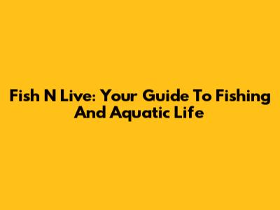 Fish N Live: Your Guide To Fishing And Aquatic Life