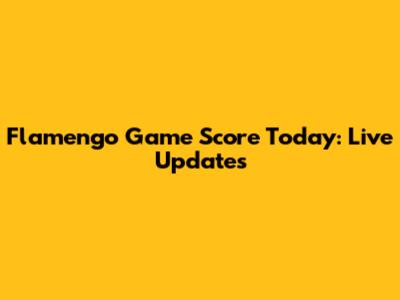 Flamengo Game Score Today: Live Updates