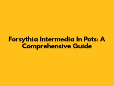 Forsythia Intermedia In Pots: A Comprehensive Guide