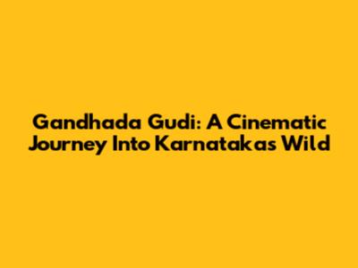 Gandhada Gudi: A Cinematic Journey Into Karnataka's Wild
