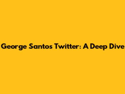 George Santos' Twitter: A Deep Dive