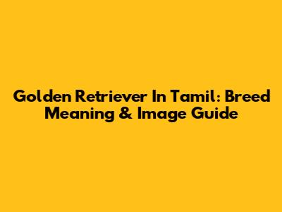 Golden Retriever In Tamil: Breed Meaning & Image Guide