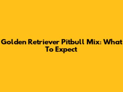 Golden Retriever Pitbull Mix: What To Expect