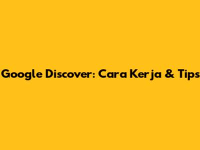 Google Discover: Cara Kerja & Tips