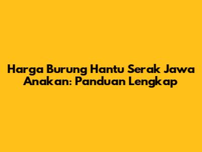 Harga Burung Hantu Serak Jawa Anakan: Panduan Lengkap