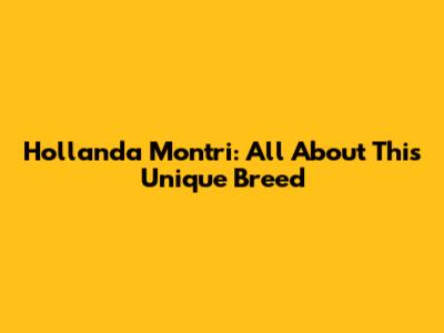 Hollanda Montri: All About This Unique Breed