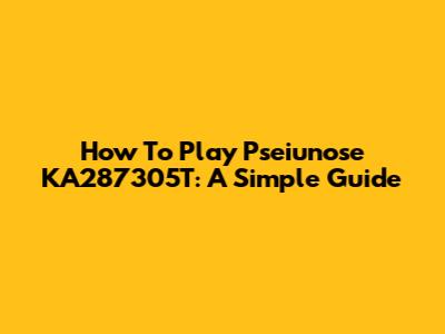 How To Play Pseiunose KA287305T: A Simple Guide