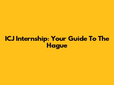 ICJ Internship: Your Guide To The Hague