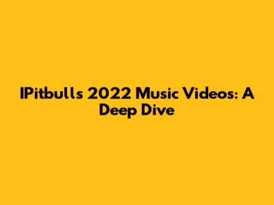 IPitbull's 2022 Music Videos: A Deep Dive