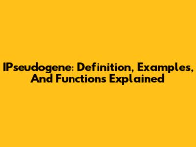 IPseudogene: Definition, Examples, And Functions Explained