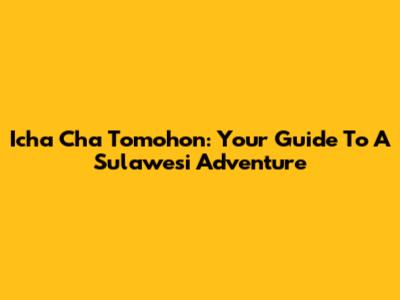 Icha Cha Tomohon: Your Guide To A Sulawesi Adventure