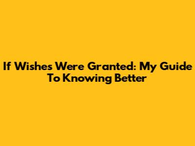 If Wishes Were Granted: My Guide To Knowing Better