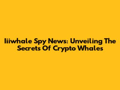 Iiiwhale Spy News: Unveiling The Secrets Of Crypto Whales